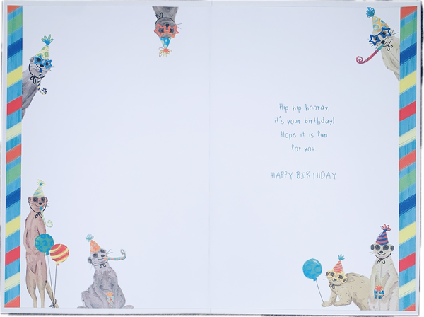 Nephew birthday card- meerkats