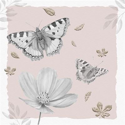 Blank card - Butterflies