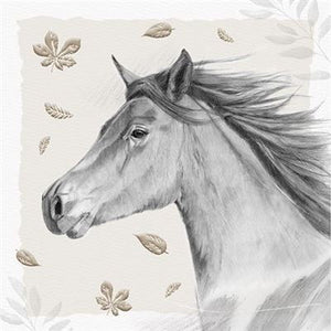 Blank card - Horse