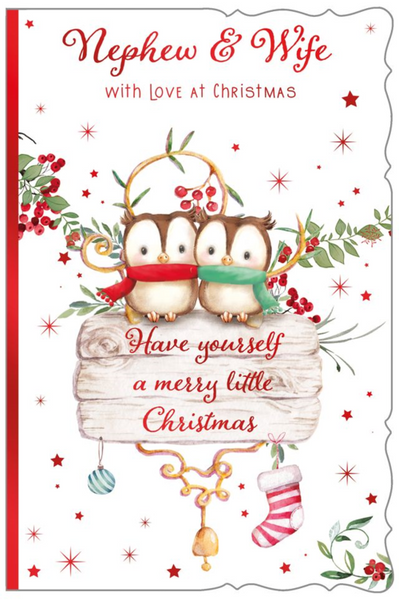 Nephew and Wife Christmas card - cute owls