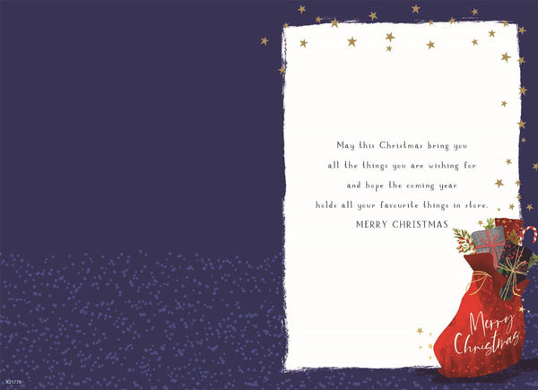 Brother Christmas card- Xmas sleigh