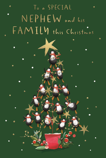 Nephew and family Christmas card - cute penguins