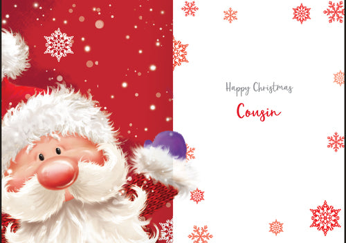 Cousin Christmas card - Santa