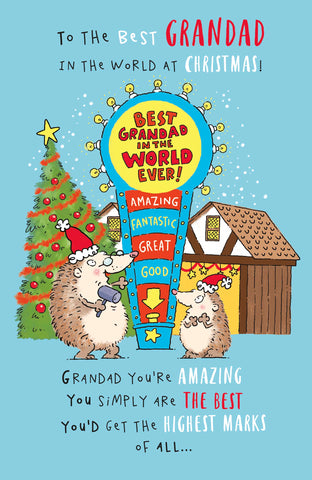 Grandad Christmas card - funny - best grandad