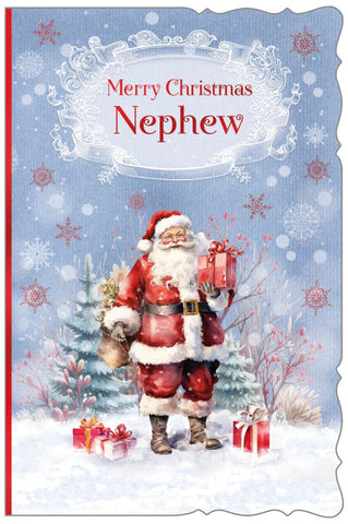 Nephew Christmas card - Santa