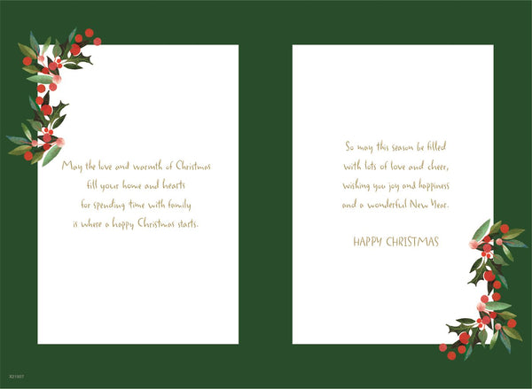 Nephew and family Christmas card - cute penguins