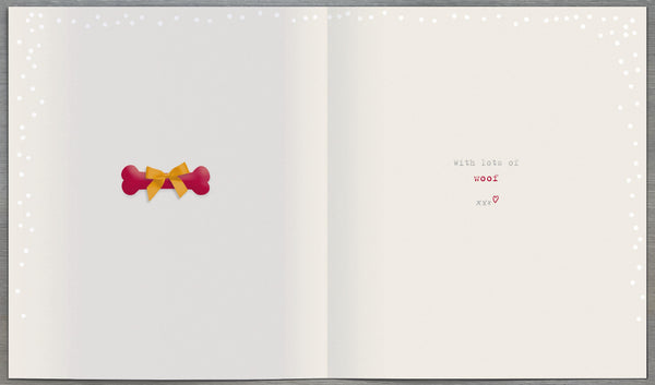 From the dog Christmas card - Boofle