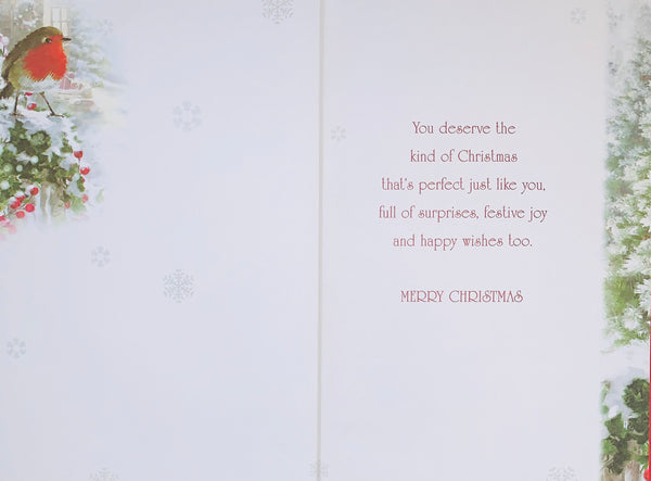 Brother and Partner Christmas card - Xmas robin