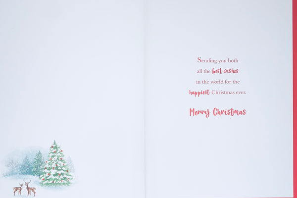 Grandson & Partner Christmas card - winter scene