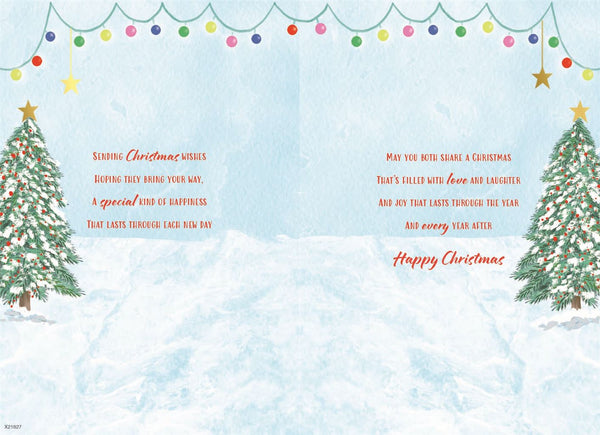 Daughter and Son-in-law Christmas card - cute robins