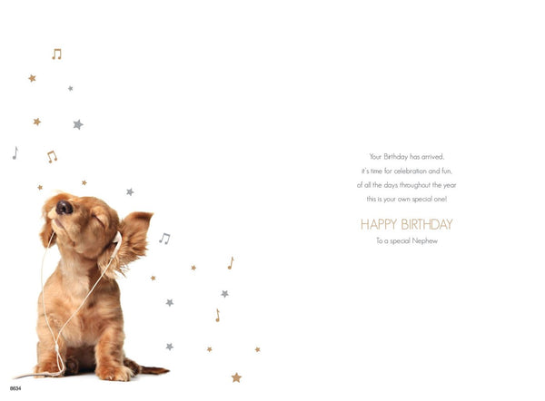 Nephew birthday card - cute dog