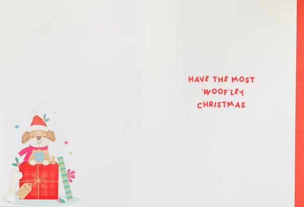 From the dog Christmas card - cute dog
