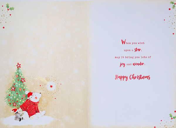 Special little boy Christmas card