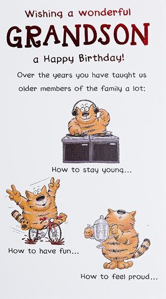 Grandson birthday card- Funny card