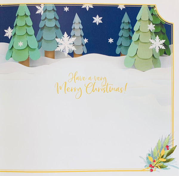 Me to you- General 3D Christmas card