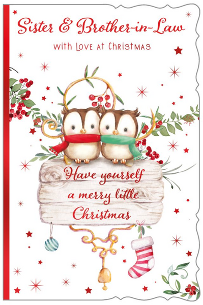 Sister and Brother-in-law Christmas card - cute owl couple