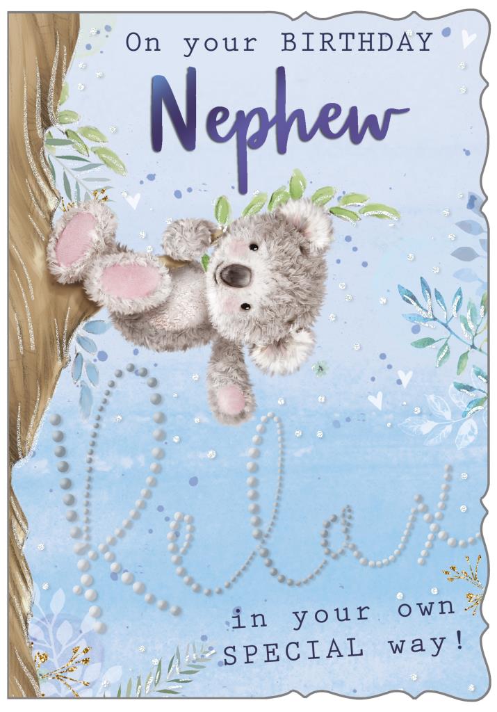 Nephew birthday card- cute bear