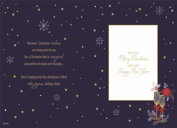 Sister and Brother-in-law Christmas card - sparkling drinks