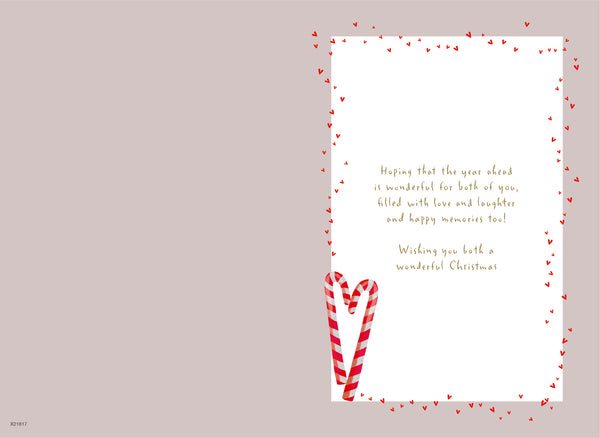 Daughter and Partner Christmas card - cute penguin couple