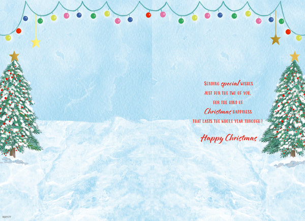 Both of you Christmas card - Cute robin couple