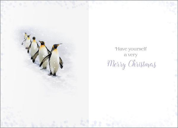 To all the family Christmas card - cute penguins