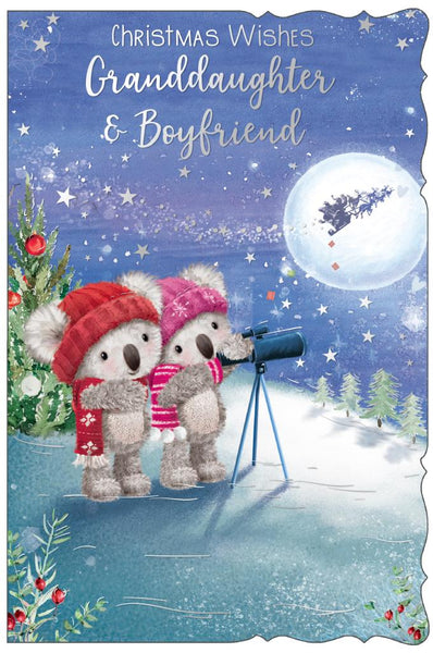 Granddaughter and boyfriend Christmas card - cute bears