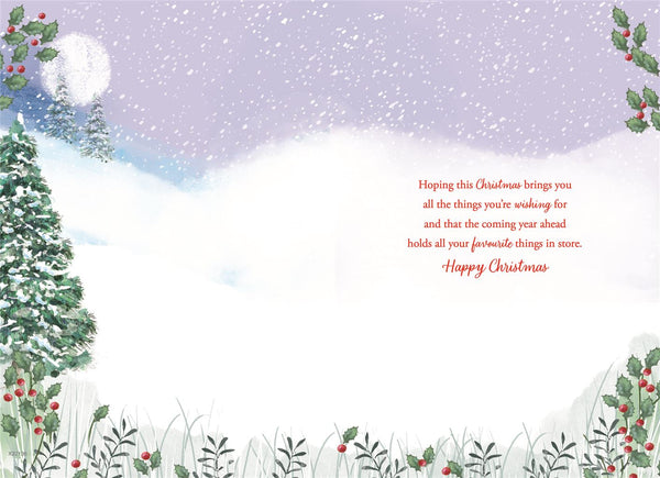 Special friends Christmas card - winter walk