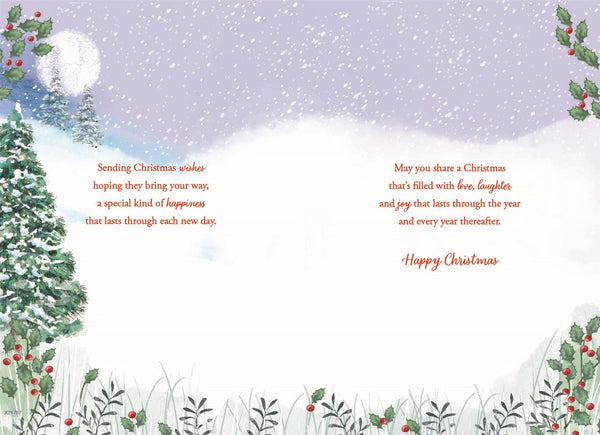 Brother and sister in law Christmas card- winter walk