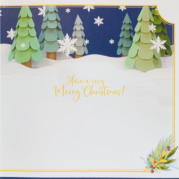 Me to you - General 3D Christmas card