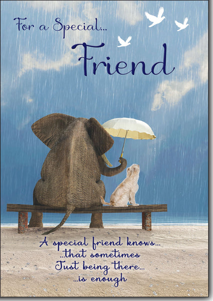 Friend birthday card - long verse