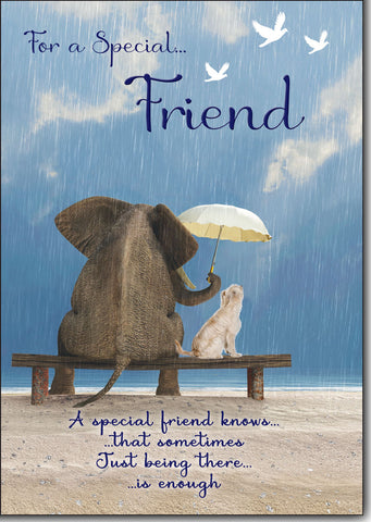 Friend birthday card - long verse