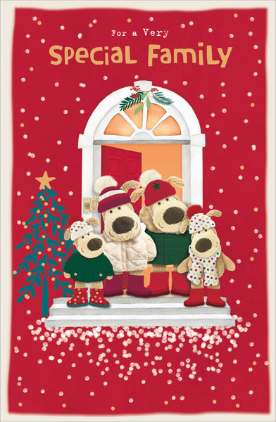 To a special family Christmas card- Boofle