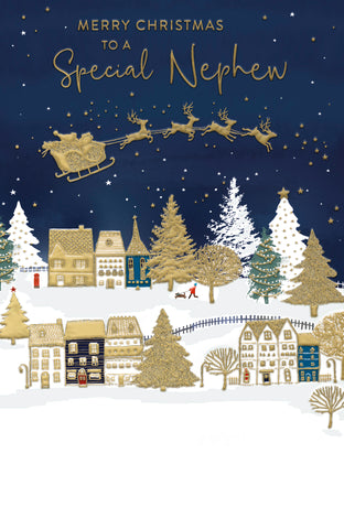 Nephew Christmas card - Santa’s sleigh