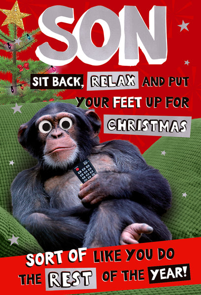 Son Christmas card- funny chimp