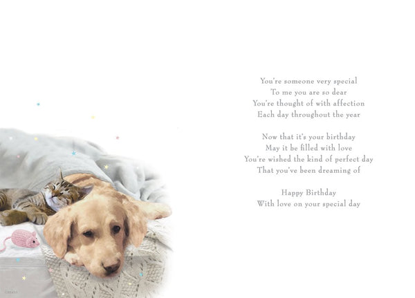 Someone Special birthday card - cute dog and cat