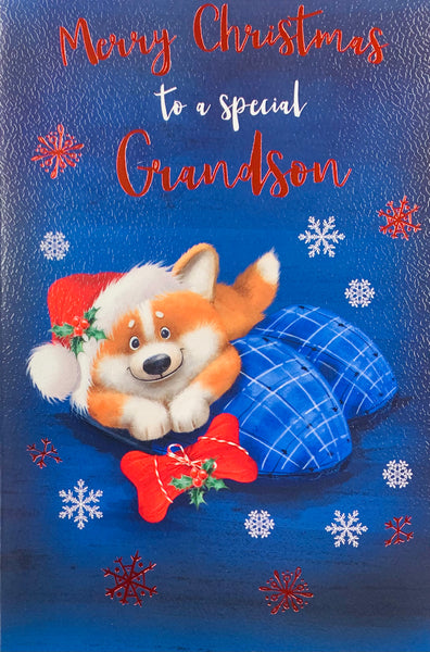 Grandson Christmas card - cute Christmas dog