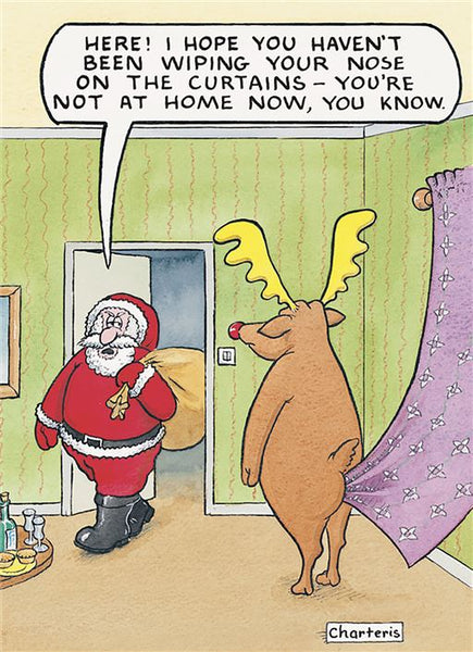 Funny Christmas card - house trained