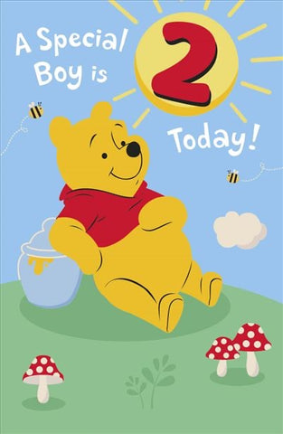 Age 2 Winnie the Pooh birthday card