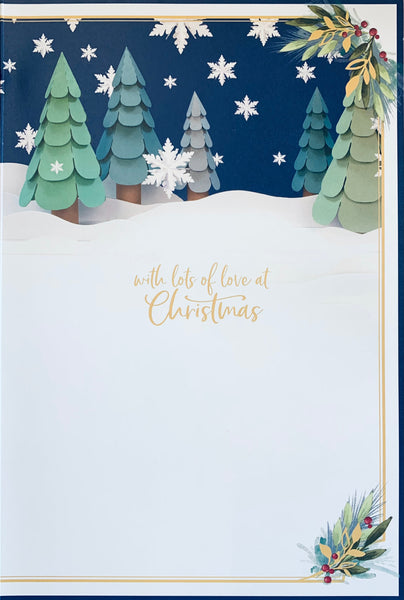 Me to you - Someone Special 3D Christmas card