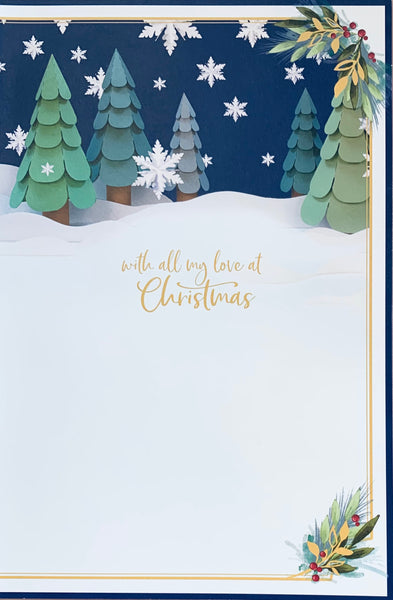 Me to you- Boyfriend 3D Christmas card