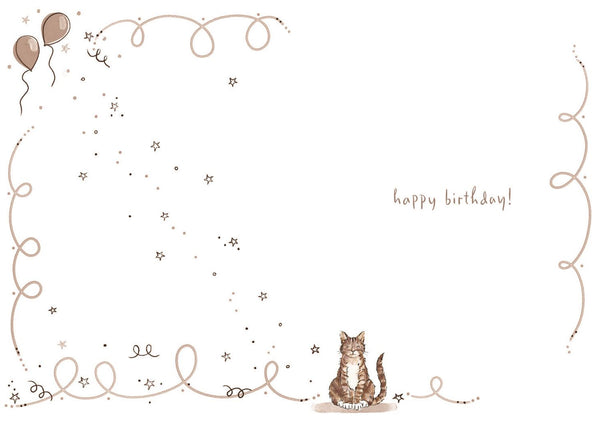 Cute cat birthday card - general birthday card