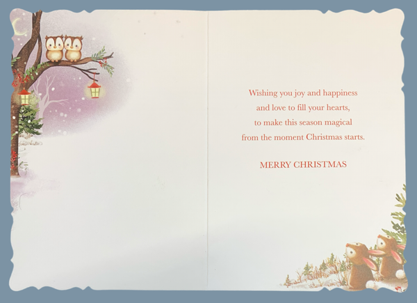 Auntie and Uncle Christmas card- cute owls