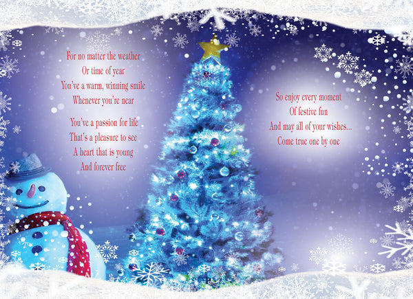 Nephew Christmas card- Sentimental verse