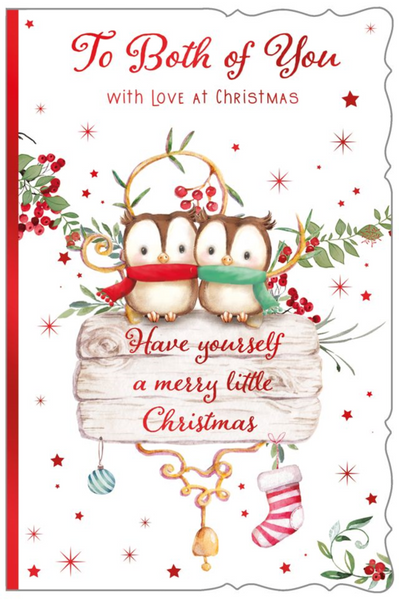 To both of you Christmas card- cute owls