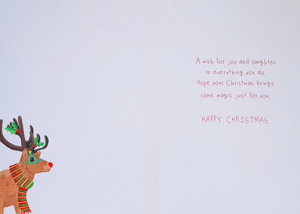 Brother Christmas card - cute reindeers