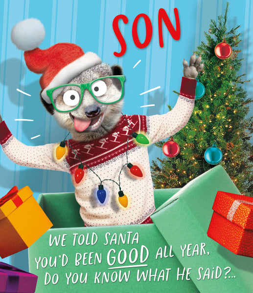 Son Christmas card - good???