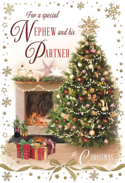 Nephew and partner Christmas card - festive home