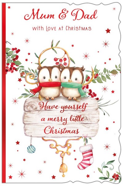 Mum and Dad Christmas card - owl couple