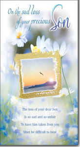 Loss of your Son sympathy card - caring thoughts