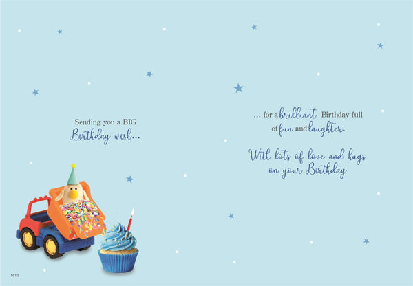 Grandson birthday card - cute bear